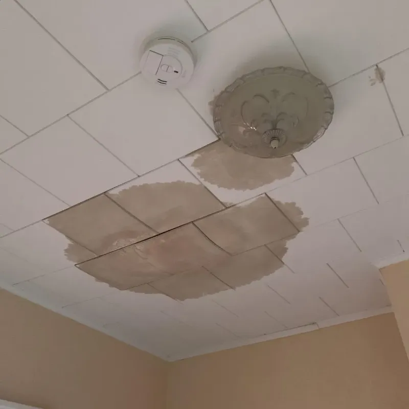 Ceiling Water Damage Repair in Massapequa Park, NY